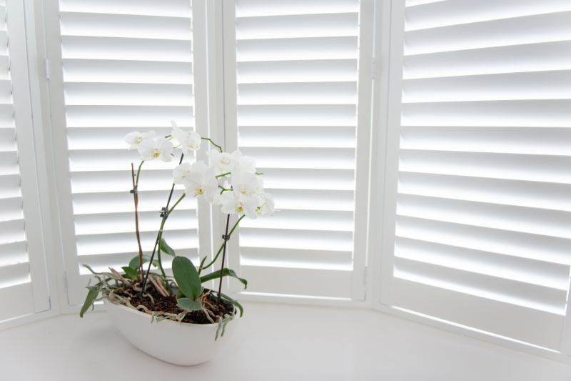 Wood Shutters Installation in Arvada, CO